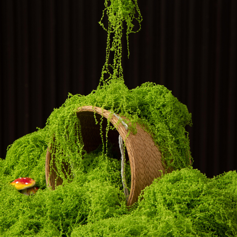 Bonsai Garden Ideas - 200g Eeuwig leven mos DIY ambachten