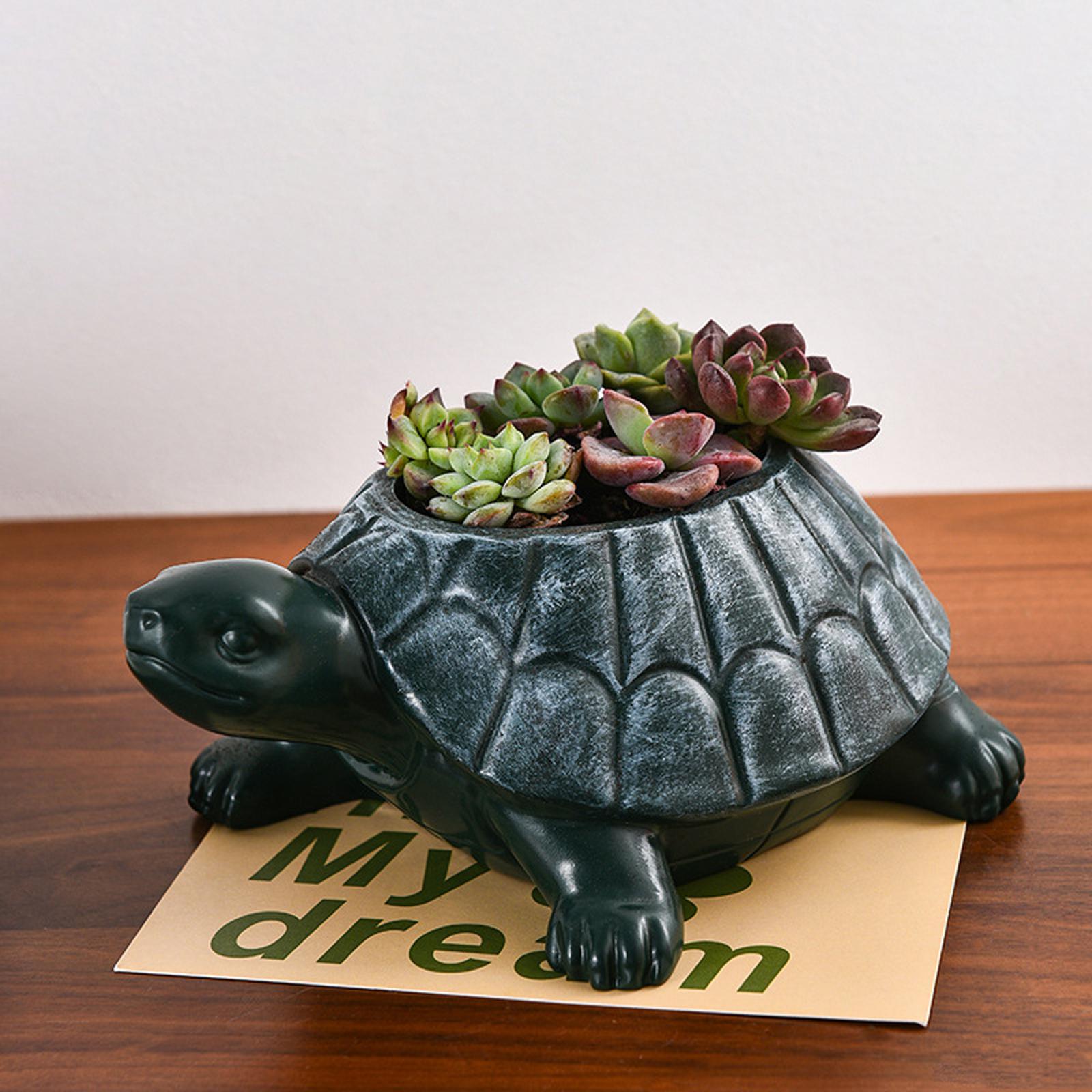 Bonsai Garden Cafe - Schildpad plantenbak bloempot verzamelbaar decoratief bureau