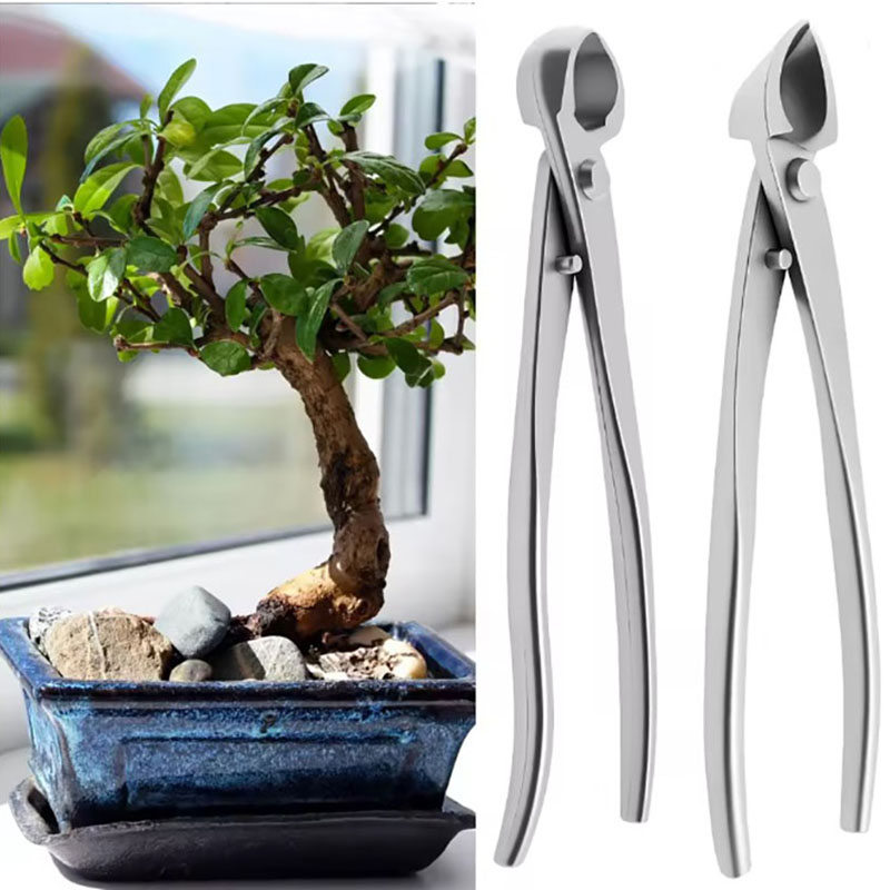 Concave Branch Cutter - 2 Stuks 210 Mm Rvs Bonsai