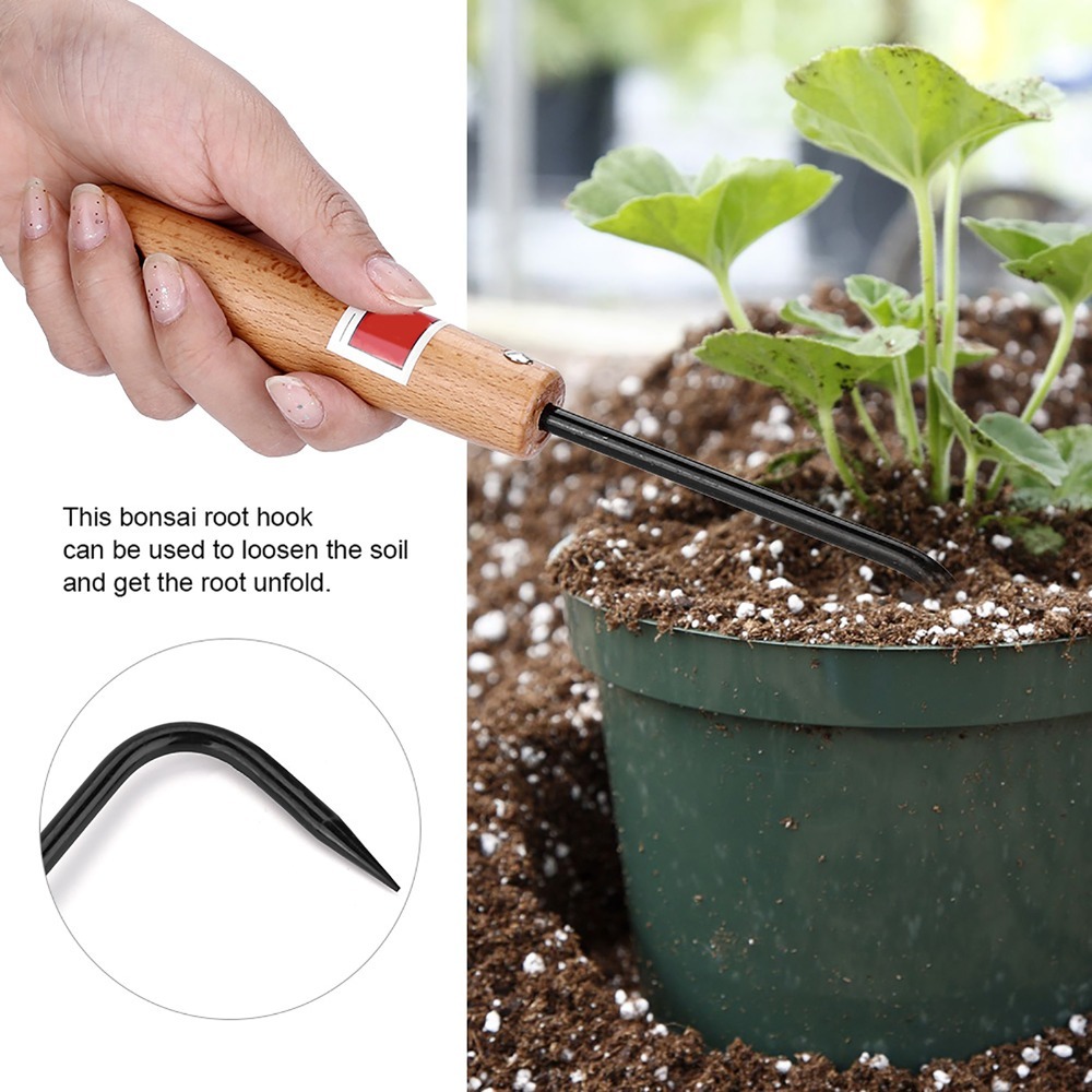 Stevige ijzeren bonsai-wortelh - Root Hook Tool recensie en prijs