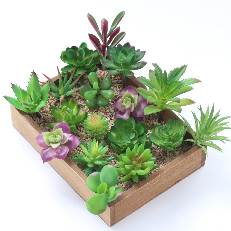 2021 Kunstmatige Vetplanten Pl - Bonsai Garden Ideas recensie en prijs