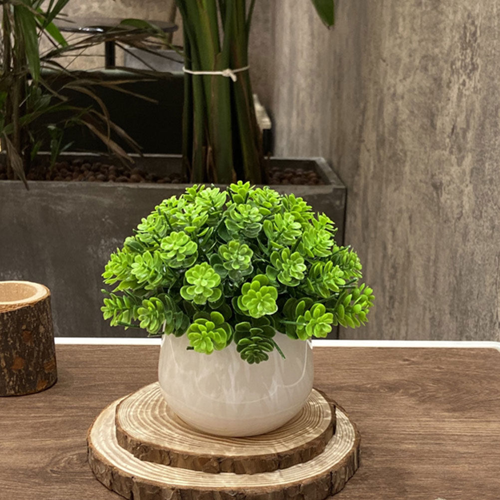 Kunstmatige bonsai in pot, nep - Bonsai Garden Cafe recensie en prijs