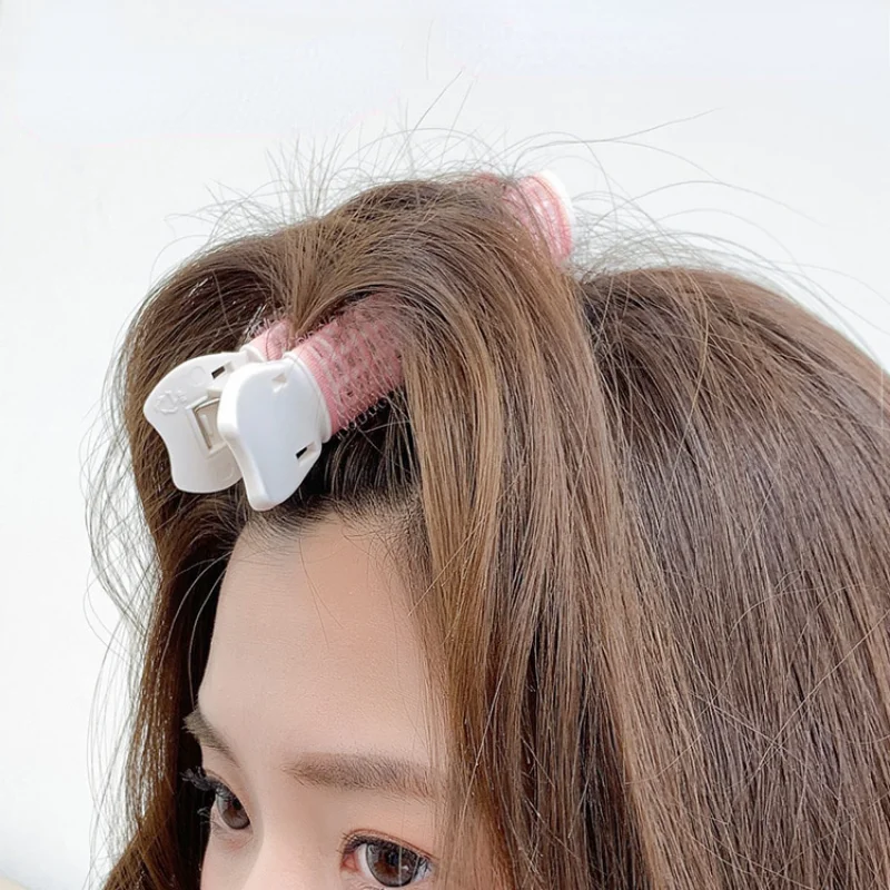 2 Stuks Luie Haarclips Pony Ha - Root Hook Tool recensie en prijs