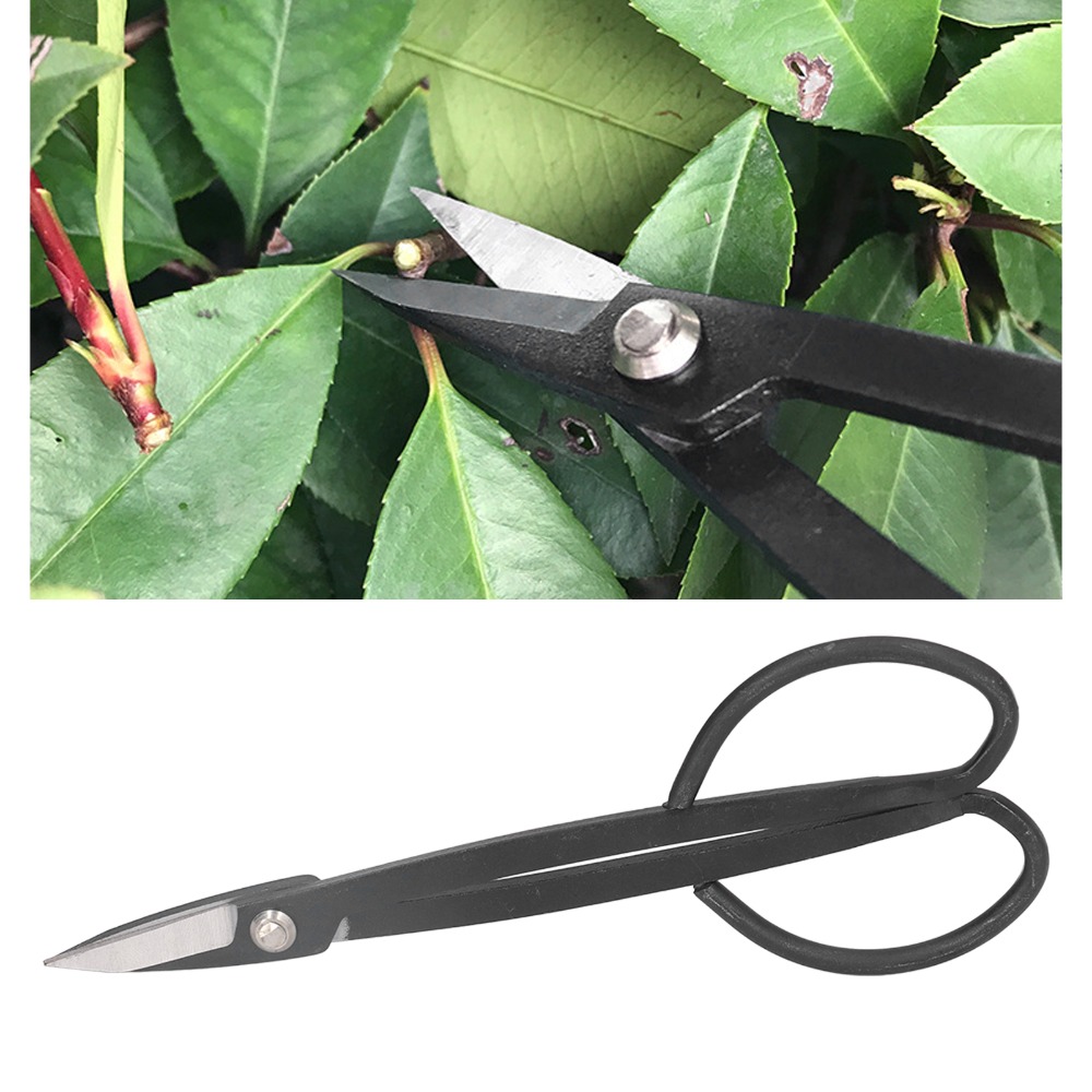 Roestvrijstalen bonsaischaar m - Concave Branch Cutter recensie en prijs