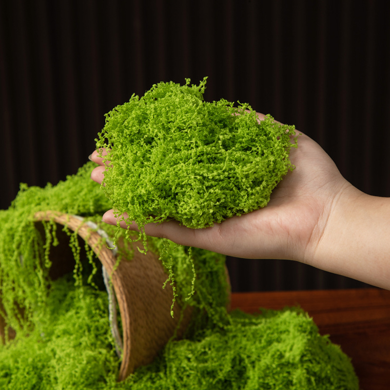 200g Eeuwig leven mos DIY amba - Bonsai Garden Ideas recensie en prijs