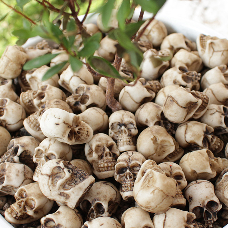 ●   20 stuks Mini Schedels Hal - Bonsai Garden Ideas recensie en prijs