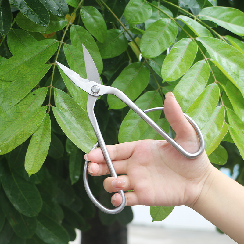 Volledig stalen tuinschaar, ge - Concave Branch Cutter recensie en prijs