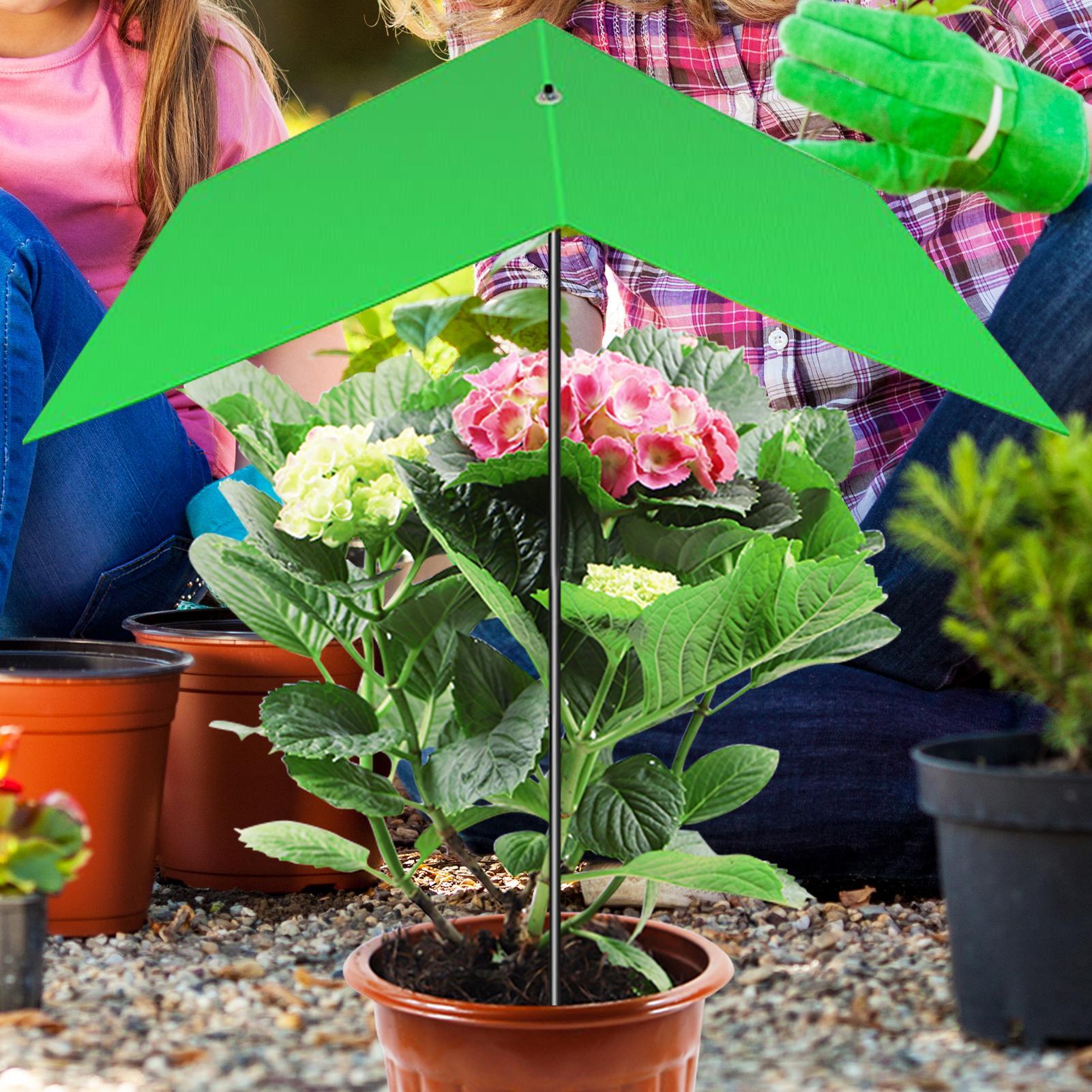 Plantenparaplu Anti-UV Warmter - Bonsai Garden Cafe recensie en prijs