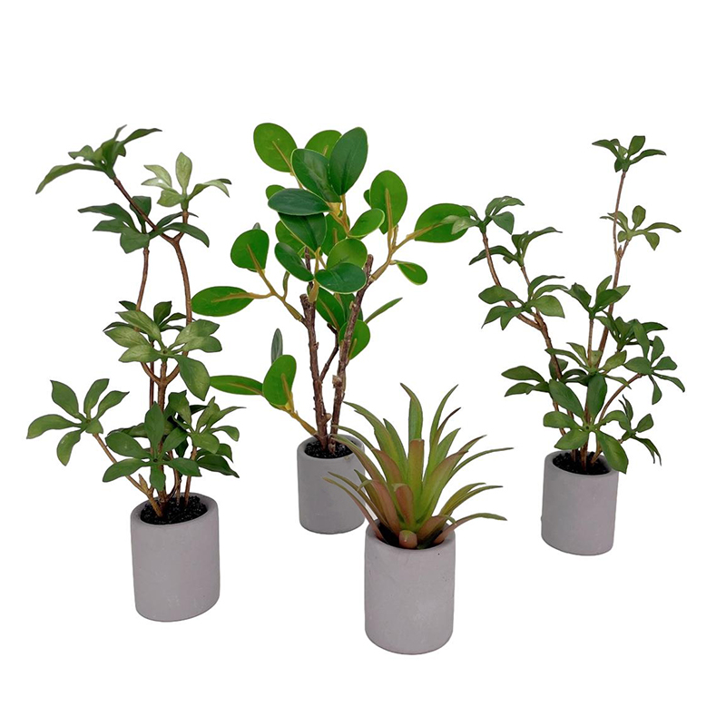 1:6 Dollhouse Miniatuur Potpla - Bonsai Garden Ideas recensie en prijs