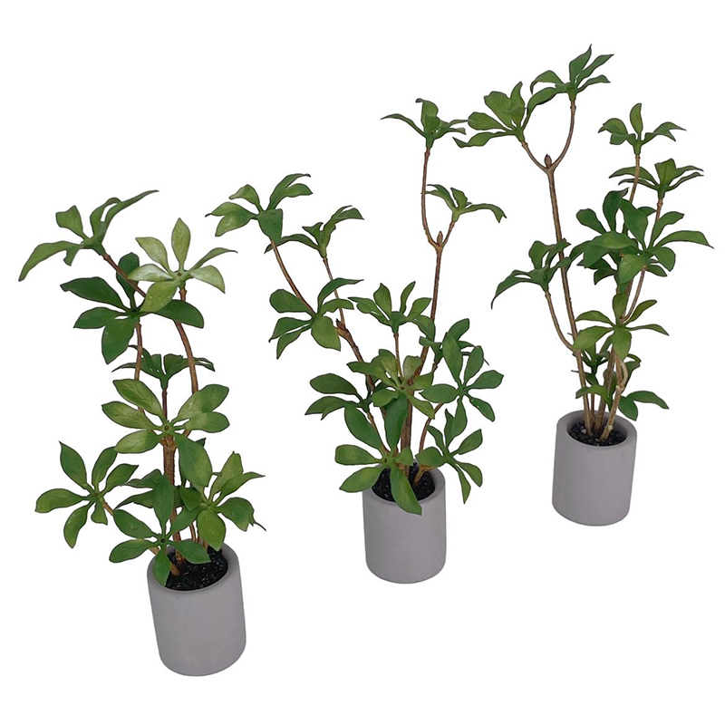 1:6 Dollhouse Miniatuur Potpla - Bonsai Garden Ideas recensie en prijs