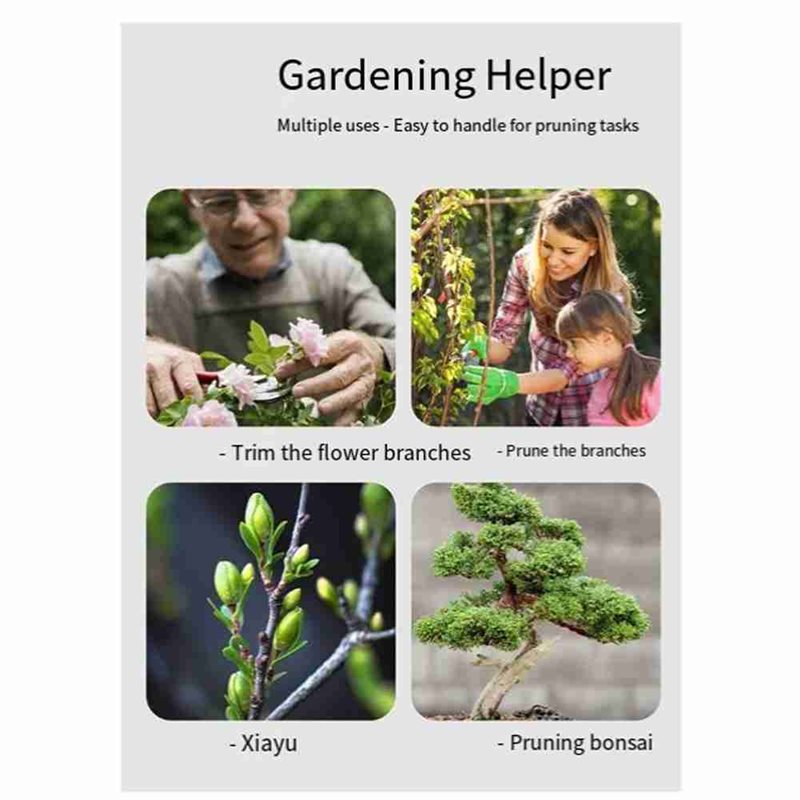 ABAE-Bonsai Gereedschapset, 4- - Root Hook Tool recensie en prijs