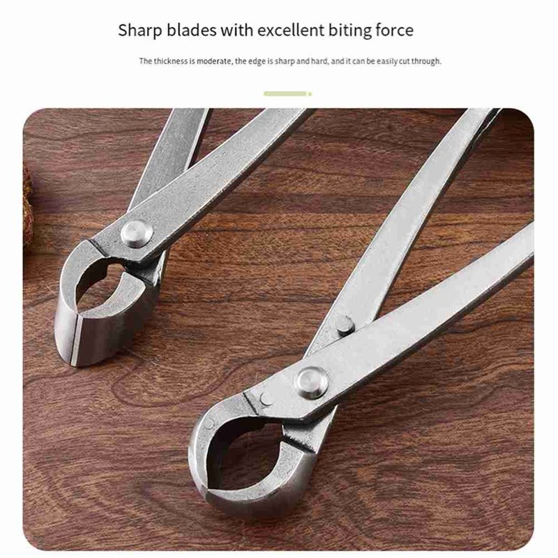 ABAE-Bonsai Gereedschapset, 4- - Root Hook Tool recensie en prijs