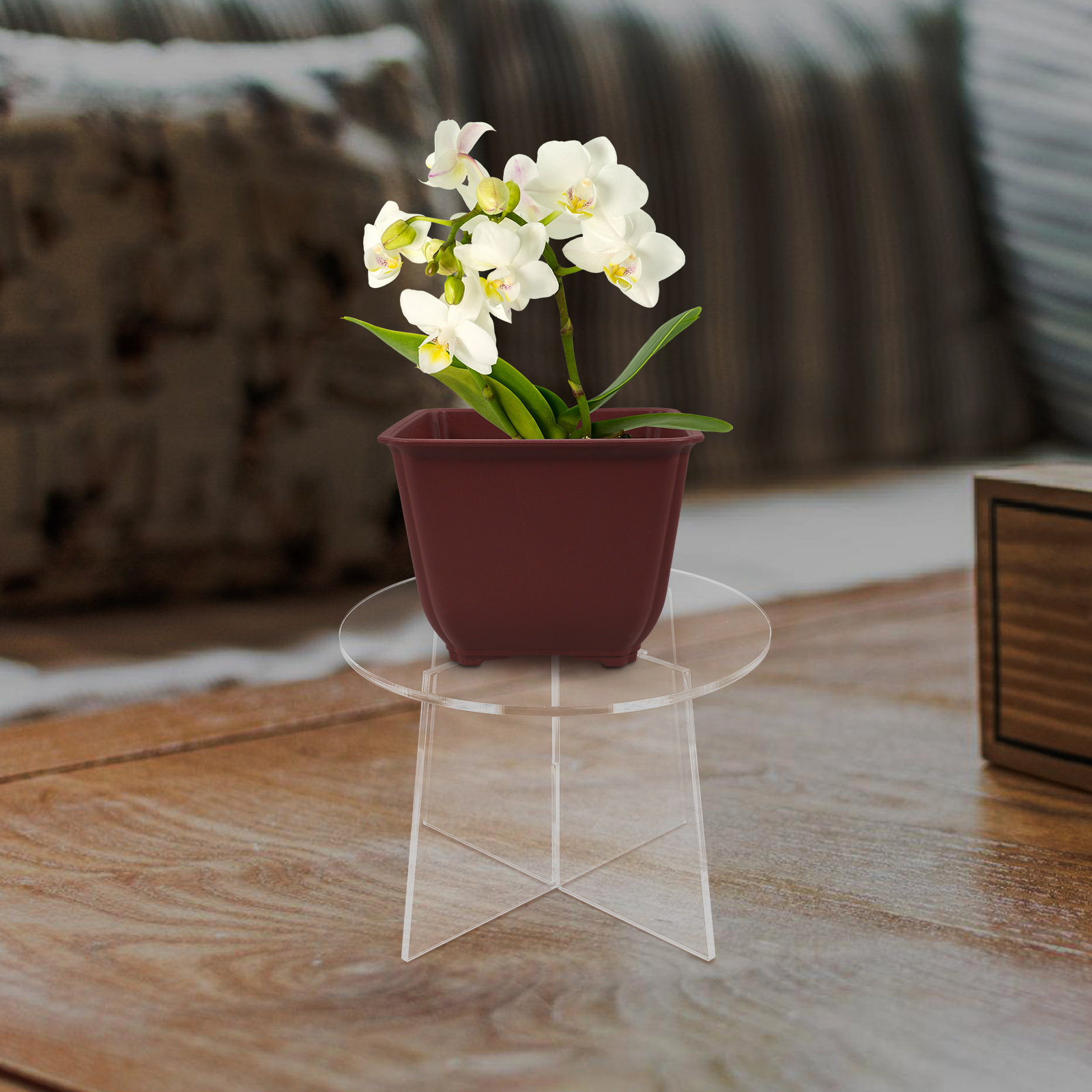 Acryl plantenstandaard Stabiel - Bonsai Garden Display Stands recensie en prijs