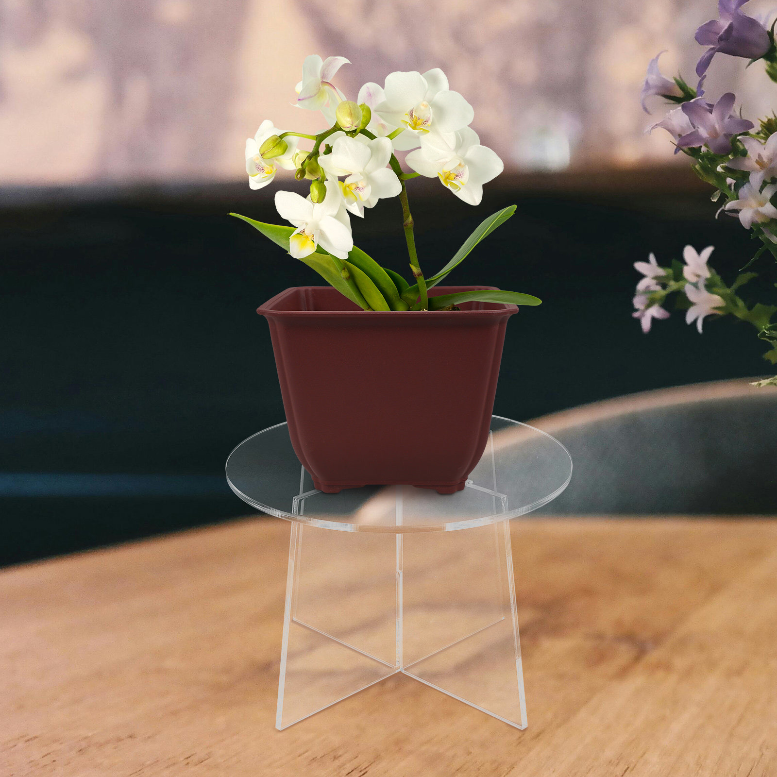 Acryl plantenstandaard Stabiel - Bonsai Garden Display Stands recensie en prijs
