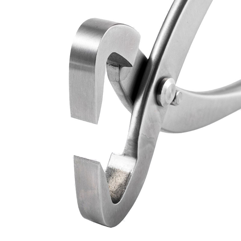 2 Stuks 210 Mm Rvs Bonsai Tool - Concave Branch Cutter recensie en prijs