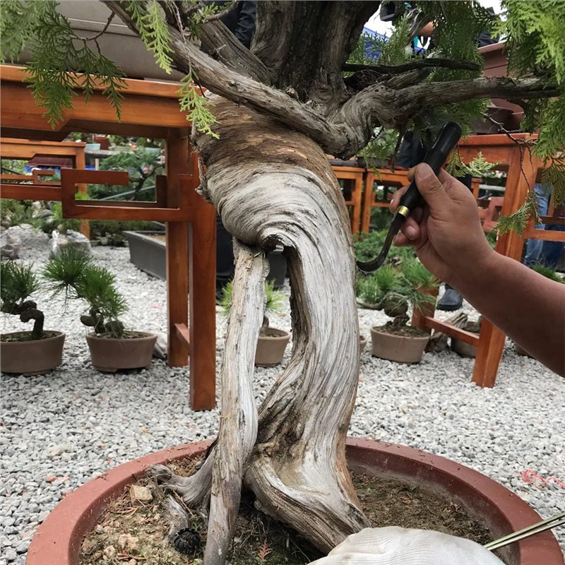 A74E-Bonsai-schraperset, 5-del - Concave Branch Cutter recensie en prijs
