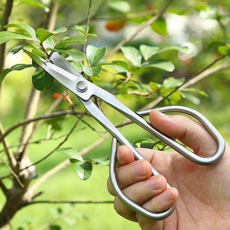 Tender Leaf Schaar Bonsai Gere - Concave Branch Cutter recensie en prijs