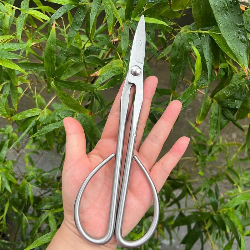 Tender Leaf Schaar Bonsai Gere - Concave Branch Cutter recensie en prijs
