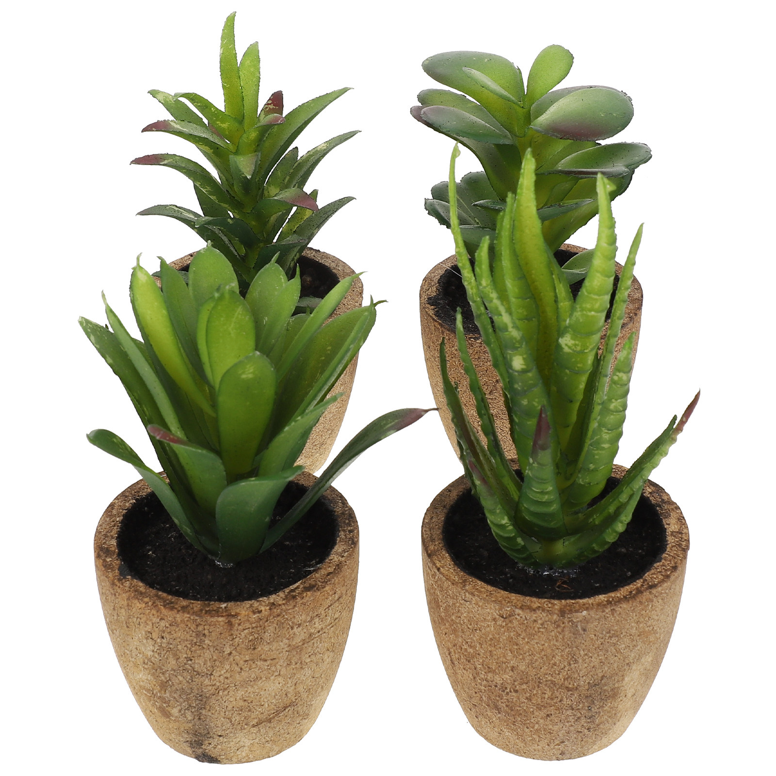 4 stuks simulatie succulent bo - Bonsai Garden Cafe recensie en prijs