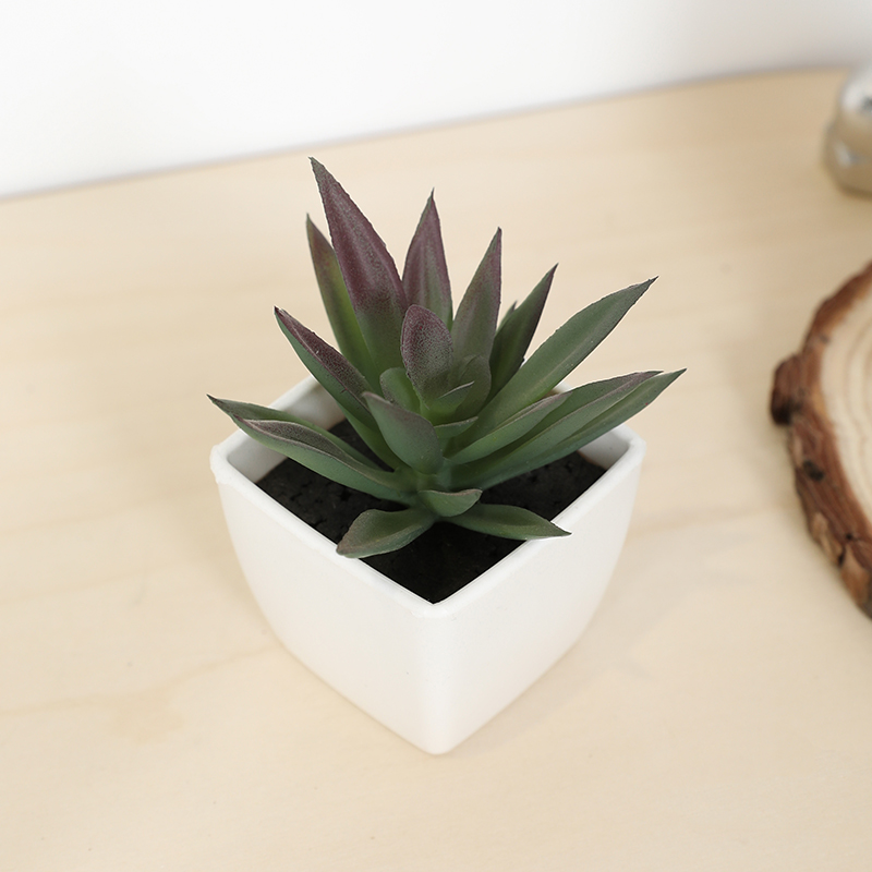 Mini Kunstmatige Succulente Fe - Bonsai Garden Ideas recensie en prijs