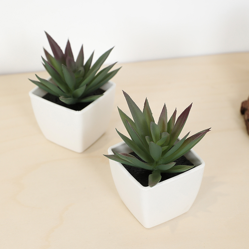 Mini Kunstmatige Succulente Fe - Bonsai Garden Ideas recensie en prijs