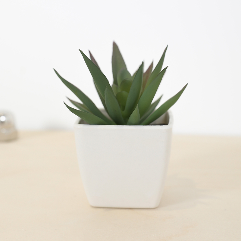 Mini Kunstmatige Succulente Fe - Bonsai Garden Ideas recensie en prijs