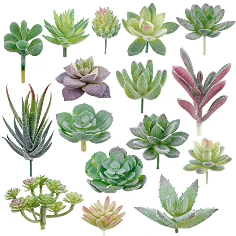 10/20 Stuks PVC Vetplanten Pla - Bonsai Garden Ideas recensie en prijs