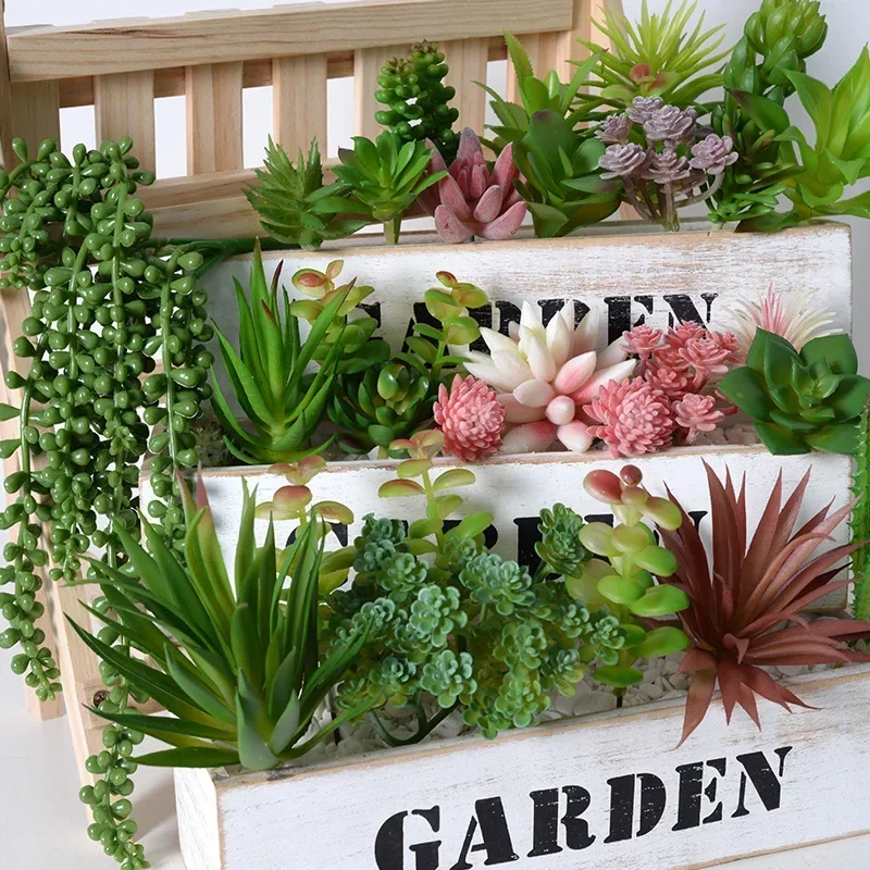 10/20 Stuks PVC Vetplanten Pla - Bonsai Garden Ideas recensie en prijs